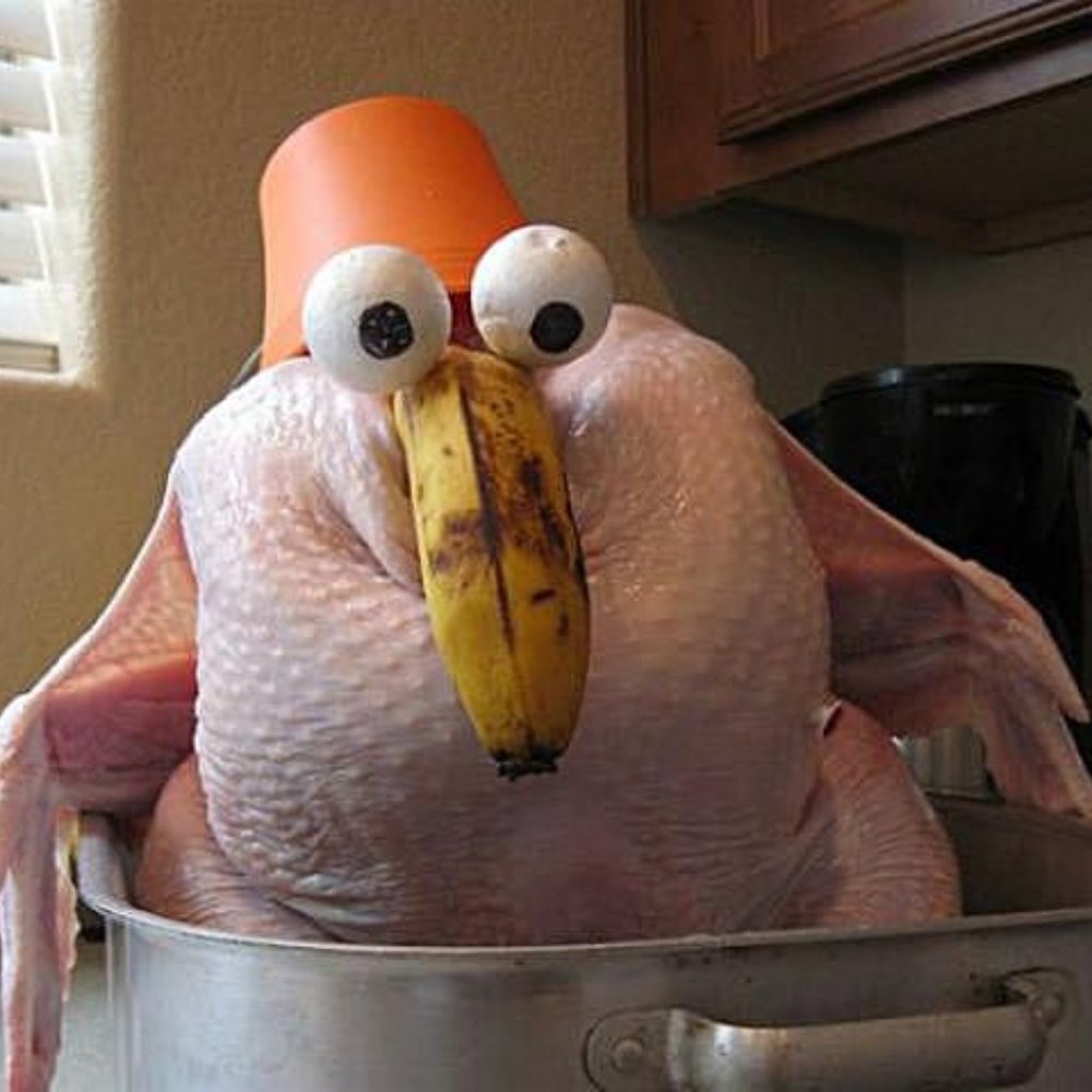 turkey